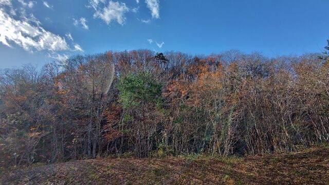 IMG_20221127_102621677_HDR