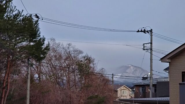 IMG_20221227_063913512 (640x360)