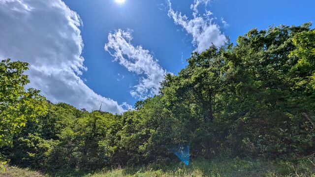 PXL_20260529_013541859