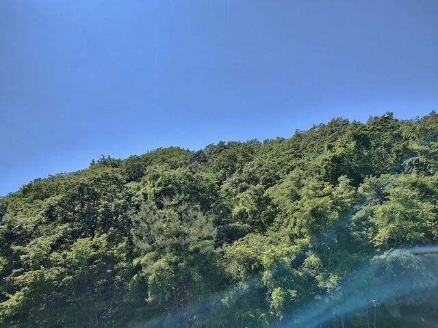 IMG_20220529_115526306_HDR