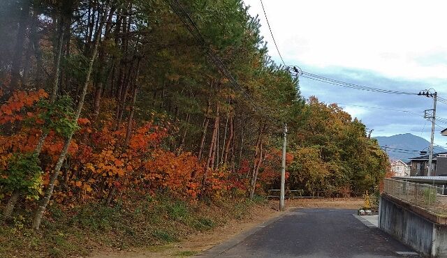 IMG_20221107_064043123_BURST002 (640x370)