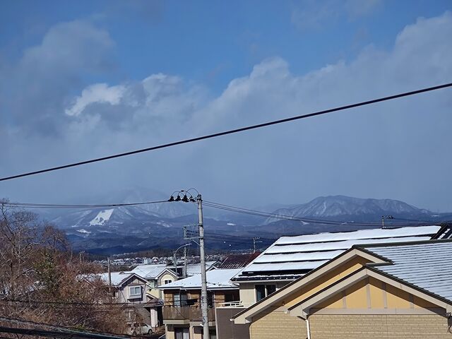 IMG_20220205_105132761