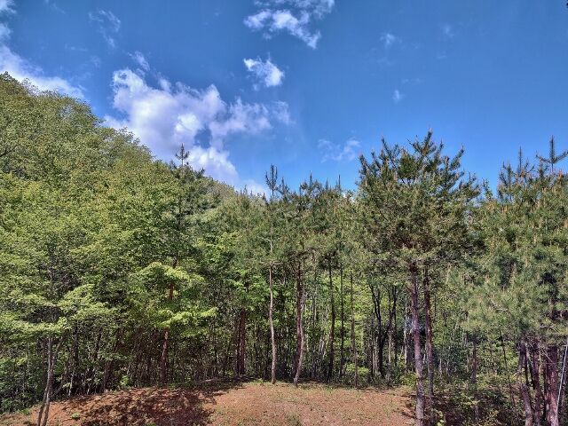 IMG_20220503_101301688_HDR (640x480)