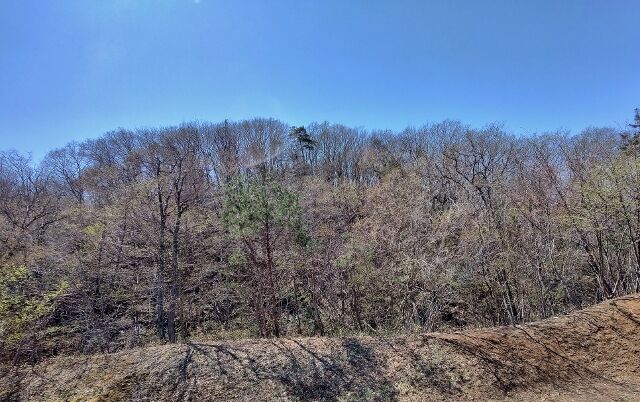 IMG_20220417_120149148_HDR (640x402)