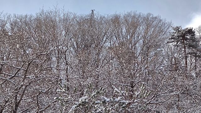 IMG_20230102_100323065