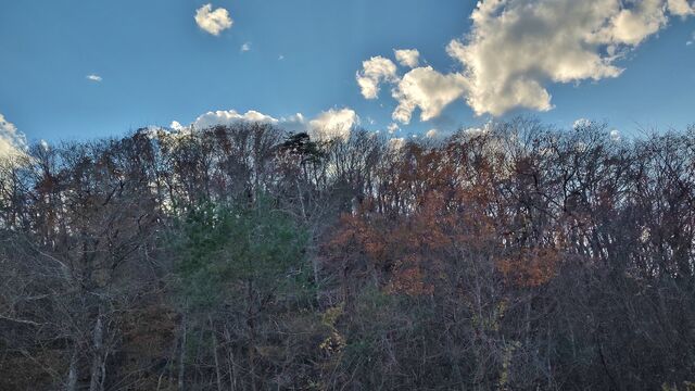 IMG_20221126_145749188_HDR