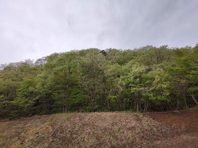 IMG_20220501_072812476_HDR