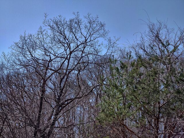 IMG_20220410_100034315_HDR