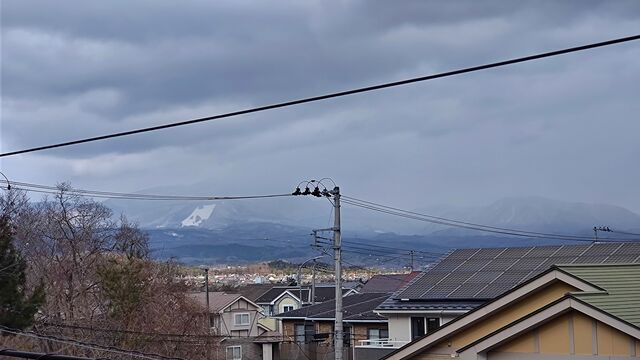 IMG_20230122_111131263