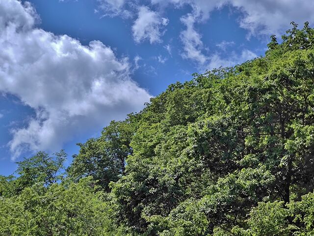 IMG_20220528_104824399