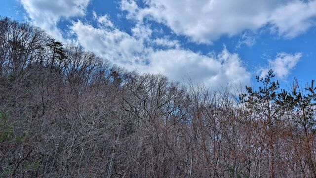 PXL_20260316_020654645
