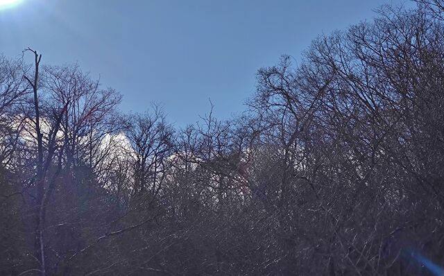 IMG_20221230_102013146