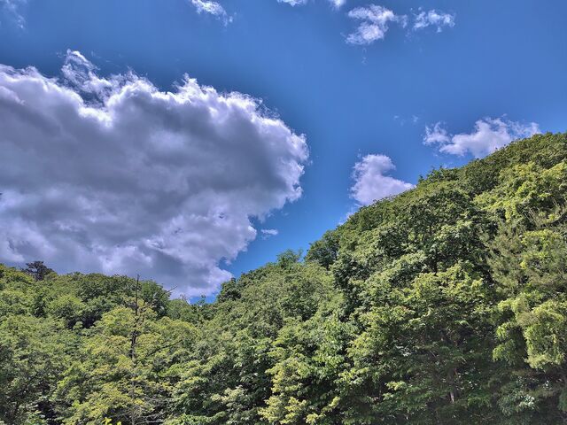 IMG_20220528_104738029_HDR