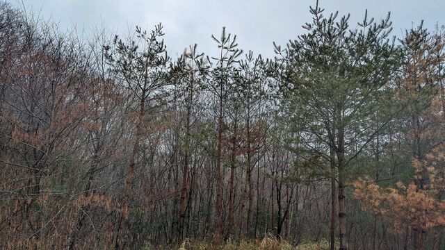 PXL_20260225_012407088