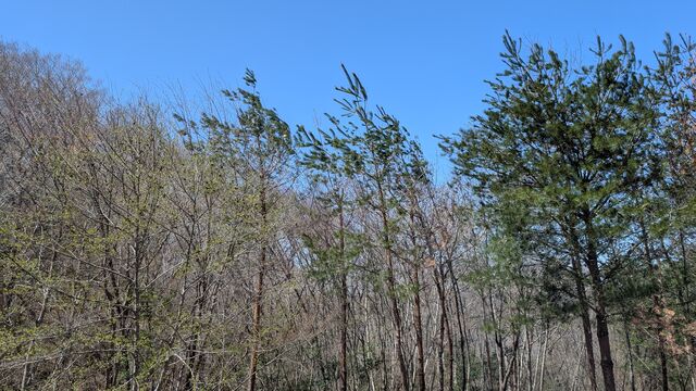 PXL_20260412_015940271