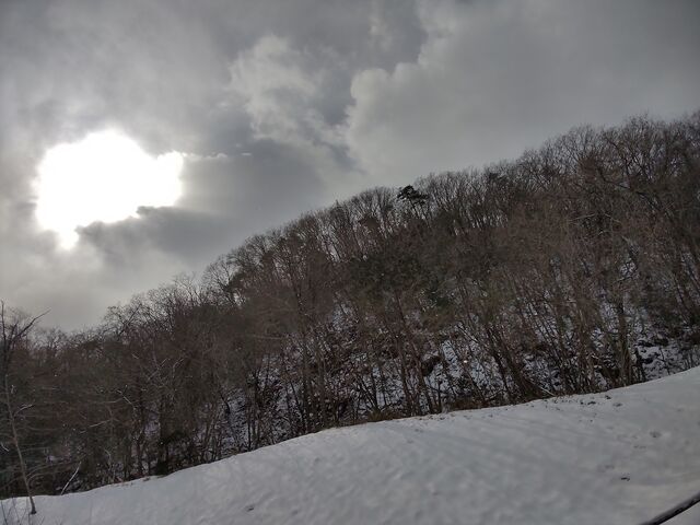 IMG_20220206_113341686