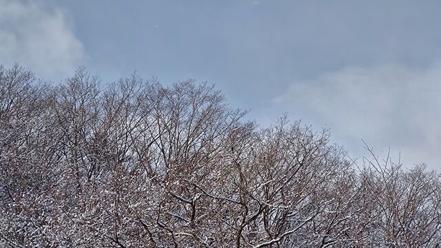 IMG_20230102_100331100