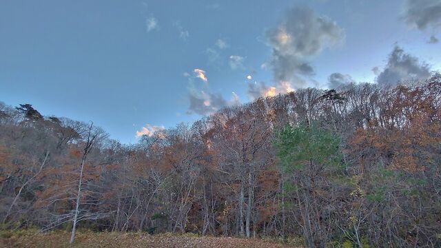 IMG_20221126_160650137_HDR