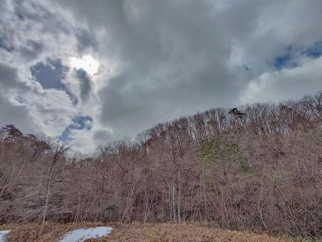 IMG_20220307_110208166_HDR_edited
