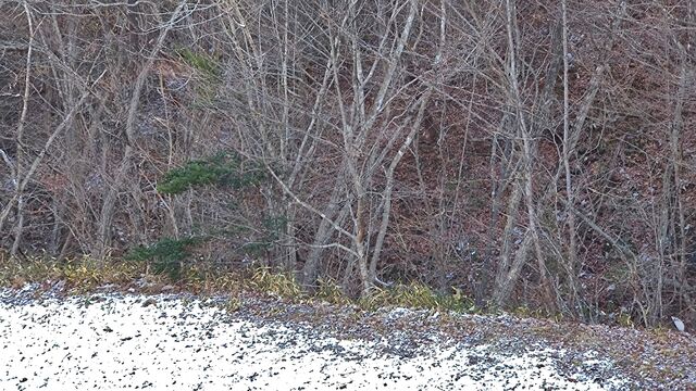 IMG_20230103_131857811