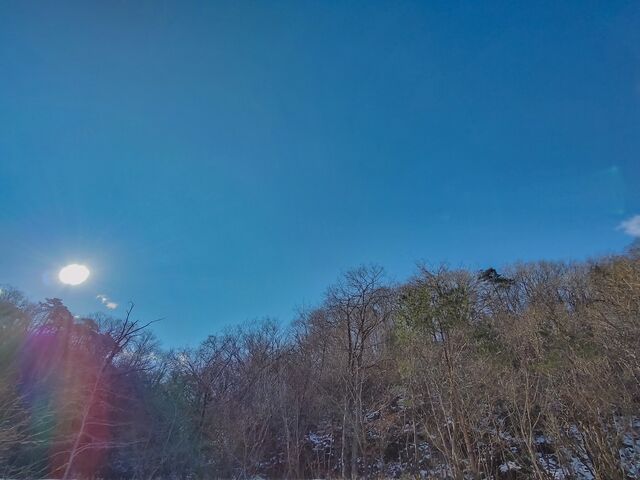 IMG_20220129_095400906_HDR_edited