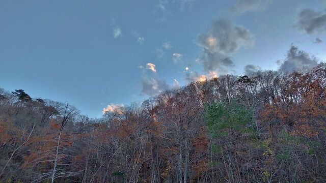 IMG_20221126_160644999_HDR