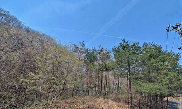 PXL_20250419_020243431