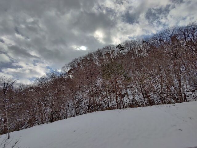 IMG_20220205_131729020_HDR