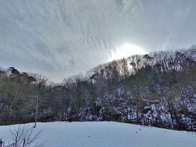 IMG_20220123_141000080
