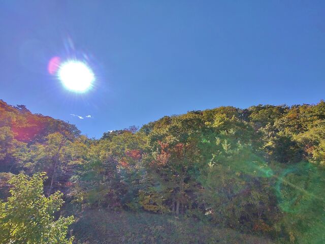 IMG_20221029_101356402