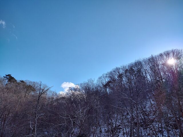 IMG_20220205_141923795_HDR