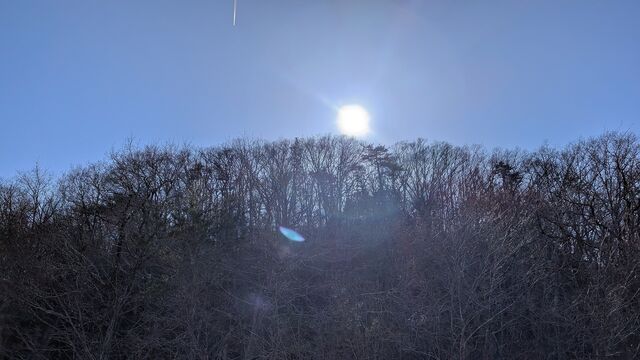 PXL_20260222_050646847