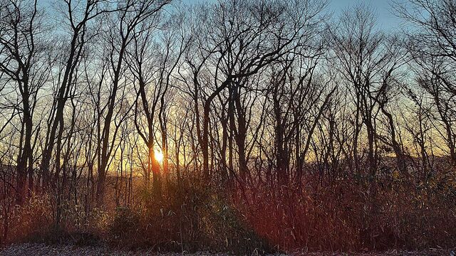 IMG_20230228_171020333_HDR