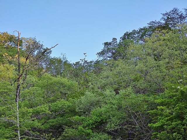 IMG_20220503_173352106