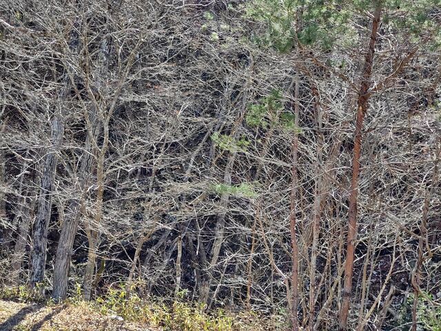IMG_20220409_132455946_HDR