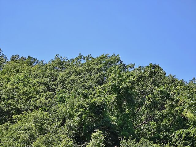 IMG_20220529_114401808