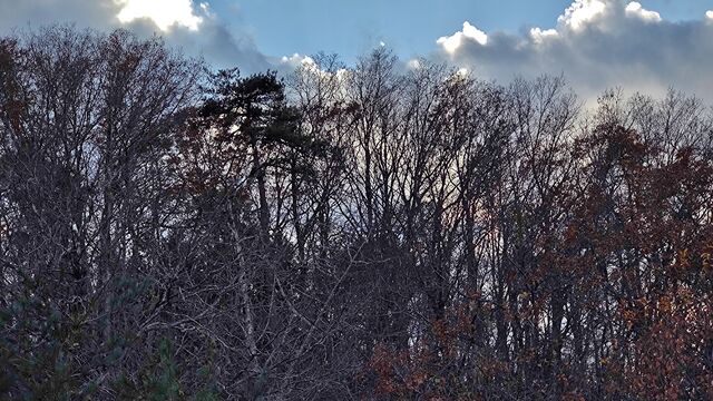 IMG_20221126_145838736