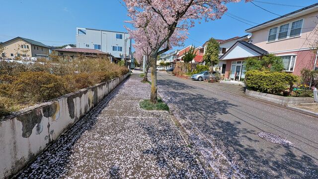 PXL_20250419_005656013