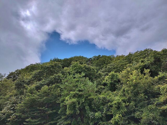 IMG_20220806_101353139_HDR