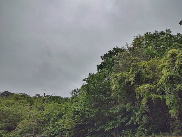 IMG_20220516_171016202_HDR