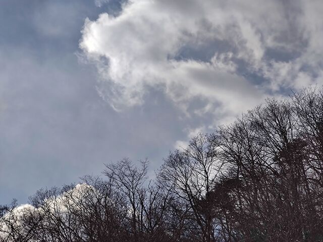 IMG_20220206_103418400