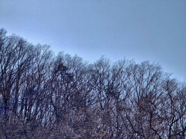 IMG_20220409_132438348_HDR