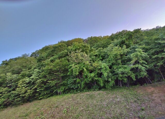 IMG_20220524_183050055_HDR