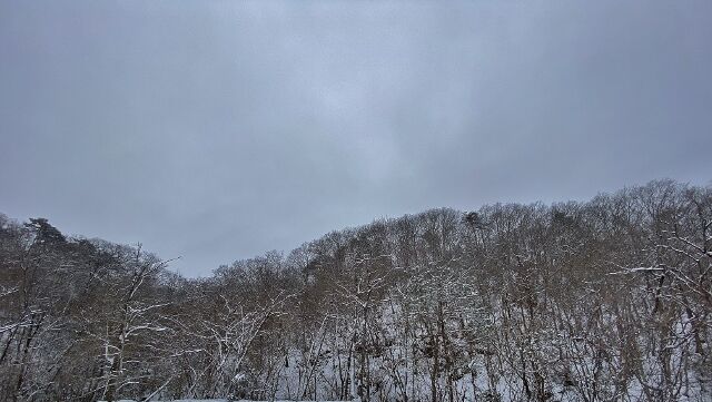 IMG_3660 (640x361)