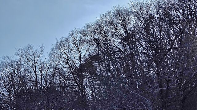 IMG_20221211_133824939