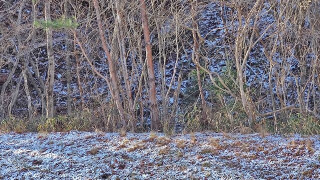 IMG_20221230_102056773