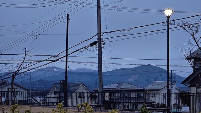 IMG_20221213_064504448
