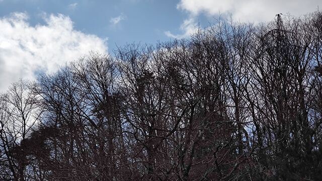 IMG_20230122_111324577