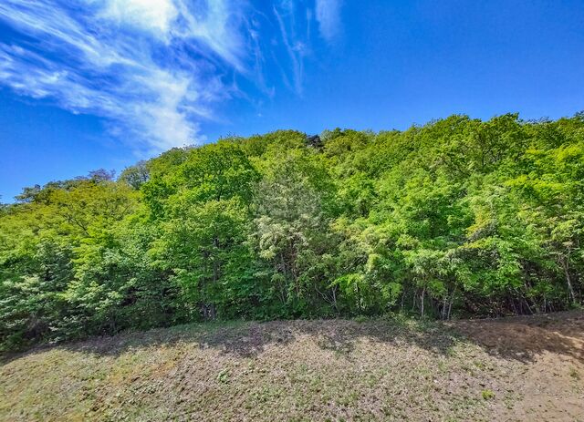 IMG_20220507_104603984_HDR_edited