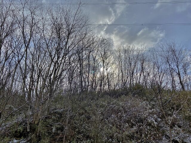 IMG_9420 (640x480)